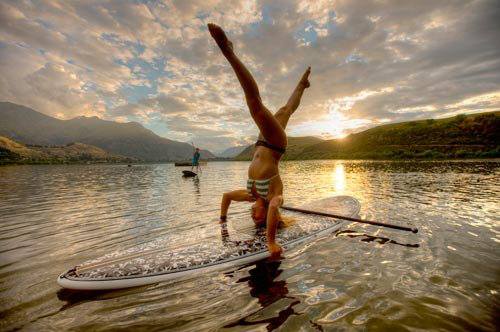 1208871_407657569344435_900606254_n