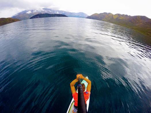 12509353_1717981335109249_5657668003446116400_n