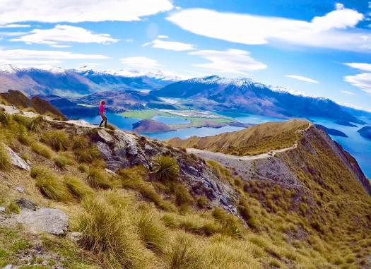 13000348_1749381115302604_8074350196731329328_n