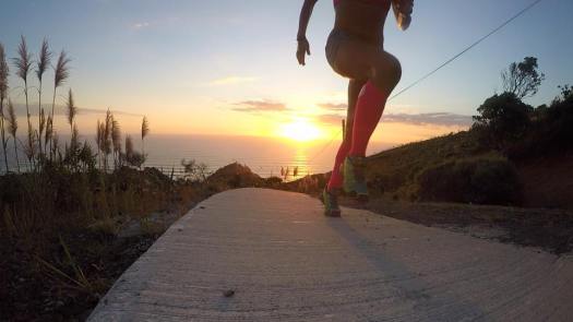 13006750_1751056861801696_7269776355548690720_n